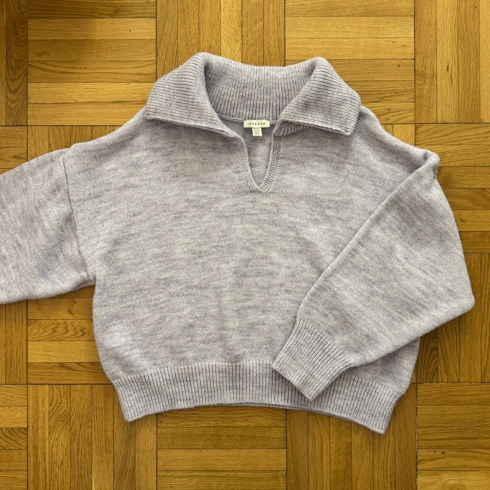 Light purple topshop collared sweater (petite)